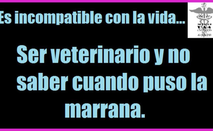 Foto: Facebook Memes UAA Ciencias de la Salud