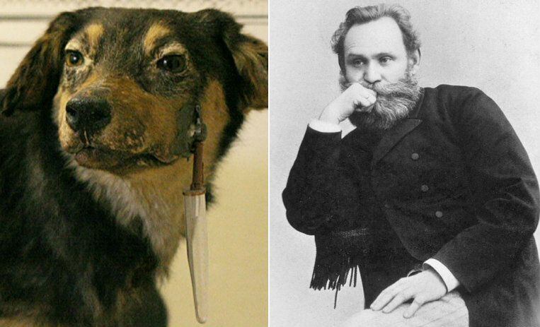 El Perro De Pavlov Tiene Un Nombre