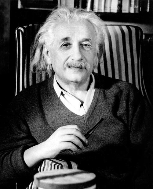 10 grandes personajes que dijeron ¡NO a la carne!