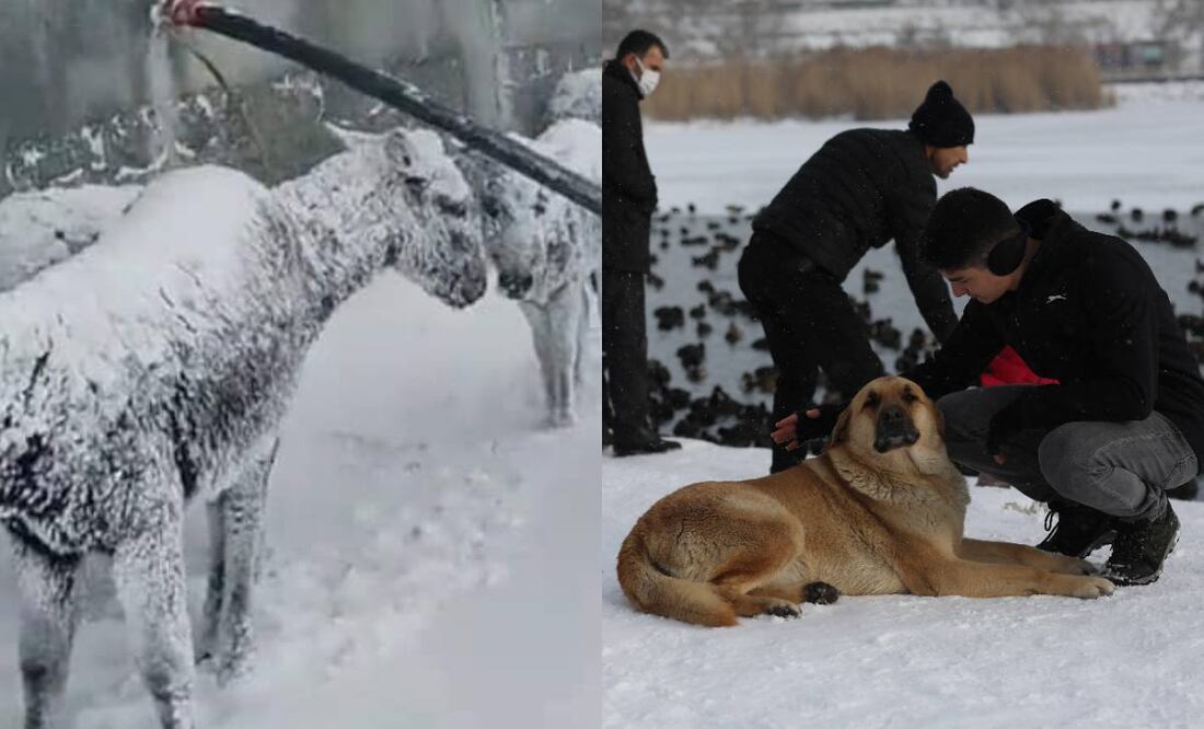 Fotos: YouTube ismael alvarado/Burhan Ozbilici-AP