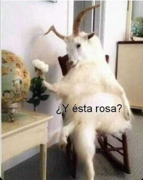 Chivas MEMES