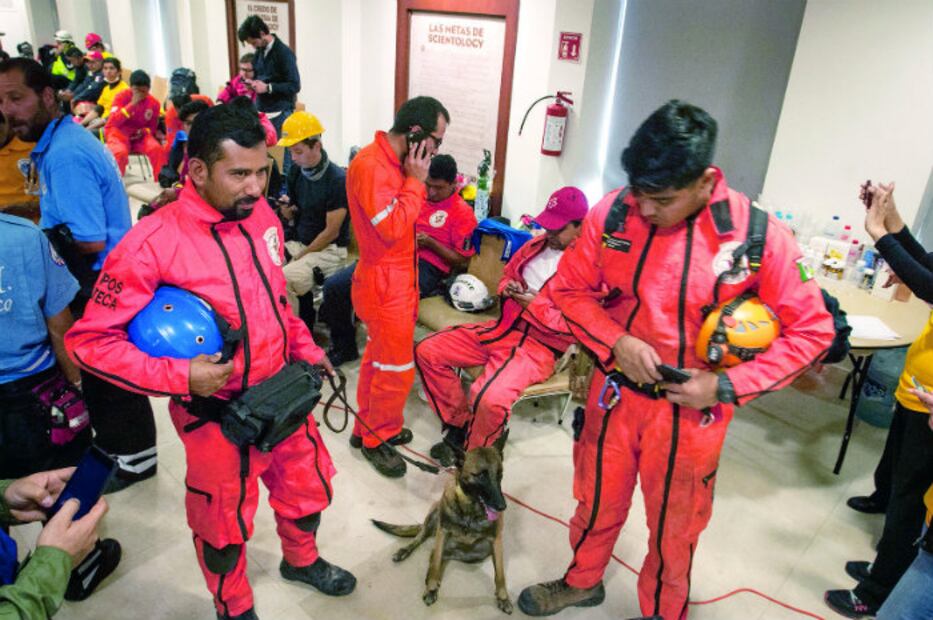 Entre escombros y peligro... ¡Así es la vida de los topos mexicanos!