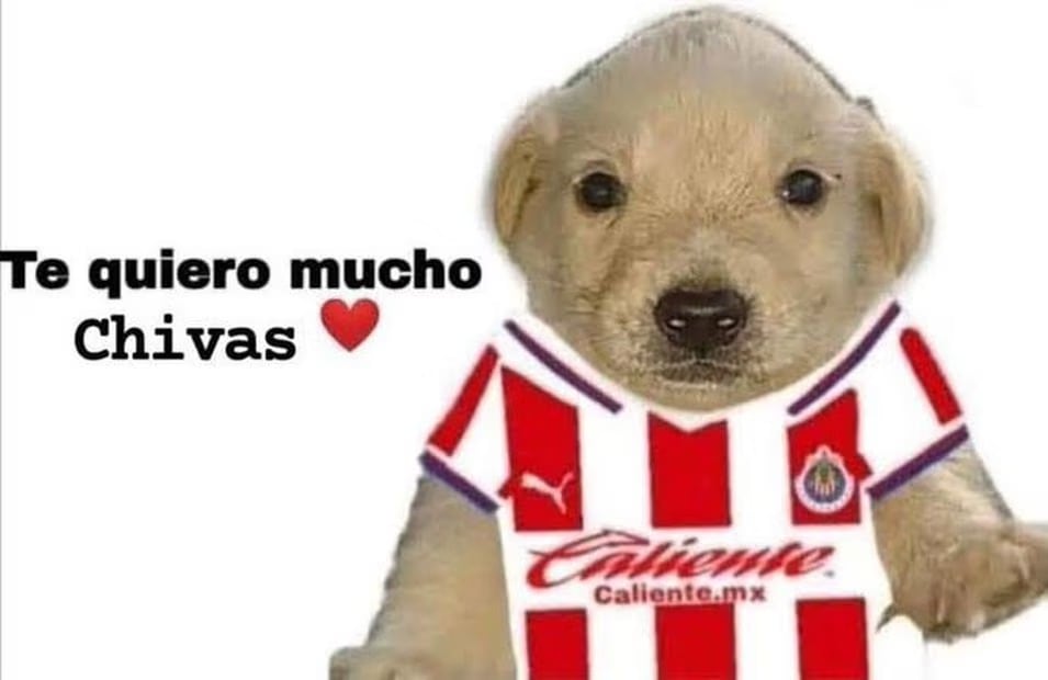 Foto: Especial