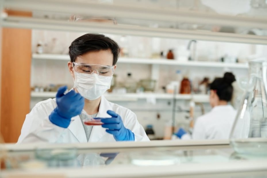 Viruela del mono: ¿Qué es, cómo se contagia y cuáles son los síntomas? 