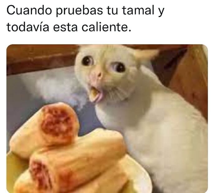 Los 10 mejores memes de los tamales del Día de la Candelaria