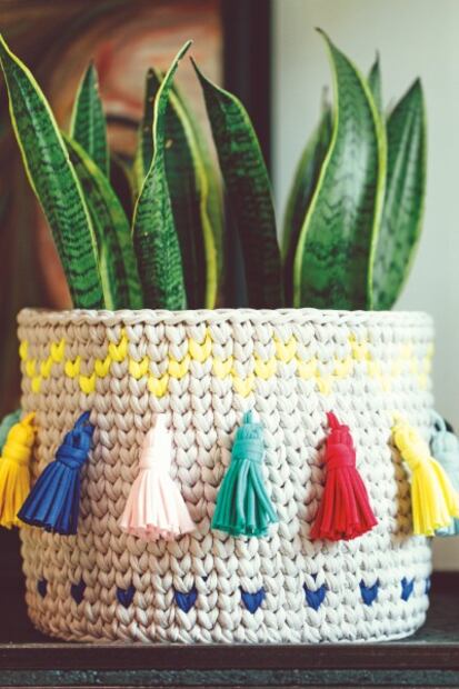 5 plantas que absorben el calor y purifican el aire de tu casa 