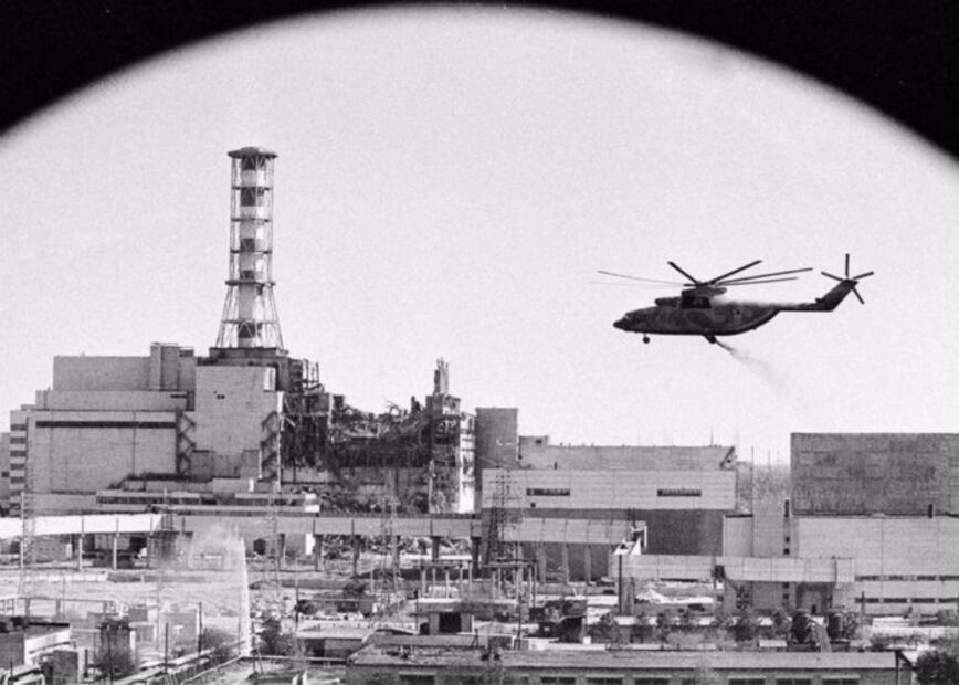 Los “perros radioactivos” de Chernobyl necesitan de tu ayuda