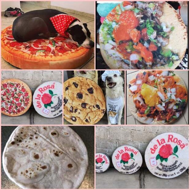 Para ayudar a perritos enfermos, refugio vende camas ¡con forma de comida!