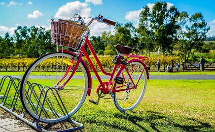 Día de la Bicicleta: 10 datos para conocer su origen y beneficios