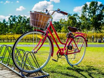 Día de la Bicicleta: 10 datos para conocer su origen y beneficios