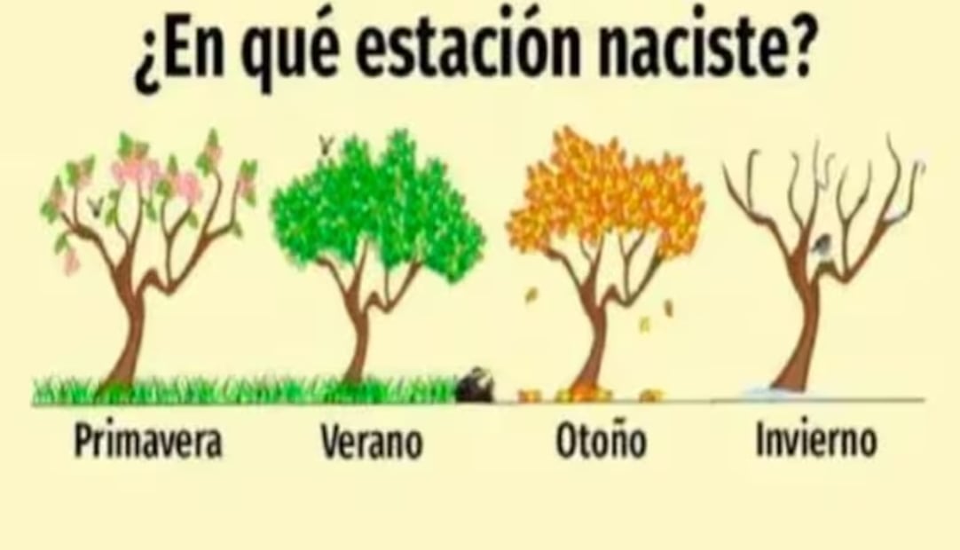 En la imagen se puede observar una serie de cuadros, recuerda que debes prestar atención a los detalles y debes tener en cuenta que este tipo de pruebas no son confiables para el diagnóstico psicológico. 

Foto: Producción El Universal