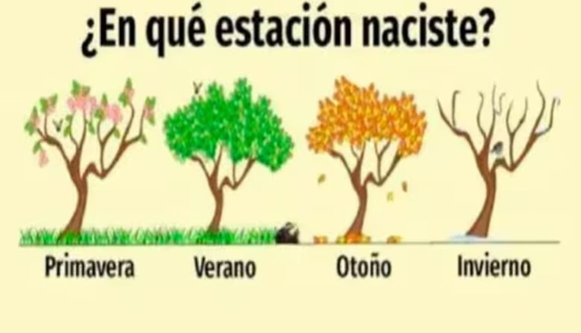 En la imagen se puede observar una serie de cuadros, recuerda que debes prestar atención a los detalles y debes tener en cuenta que este tipo de pruebas no son confiables para el diagnóstico psicológico. 

Foto: Producción El Universal