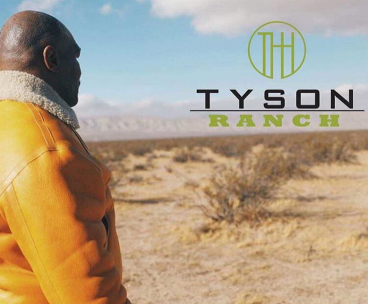 Mike Tyson cambia los guantes de box por parcelas de marihuana