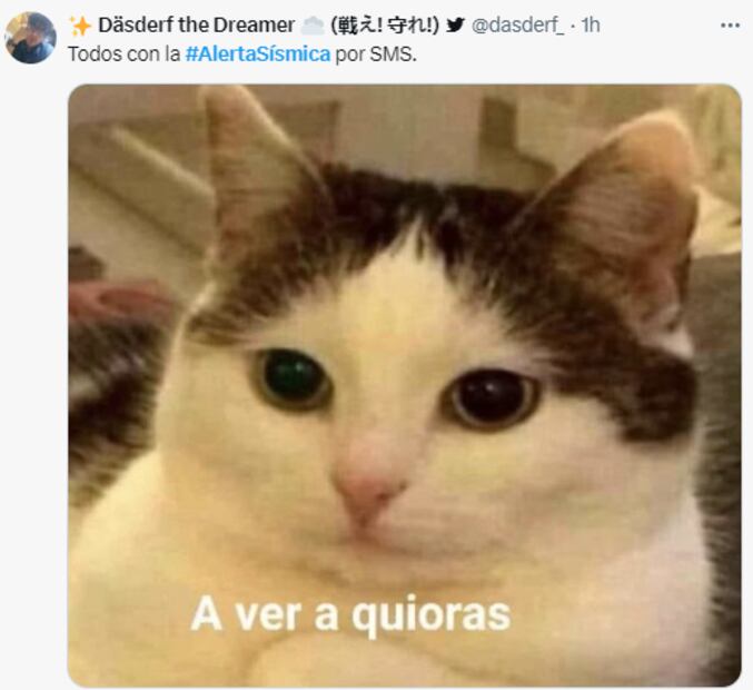 Estos son algunos memes tras la fallida prueba del alertamiento sísmico. FOTO: Captura