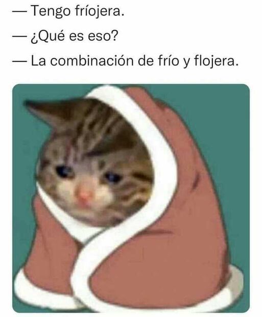 Los 10 memes más divertidos sobre el frío en este 2022