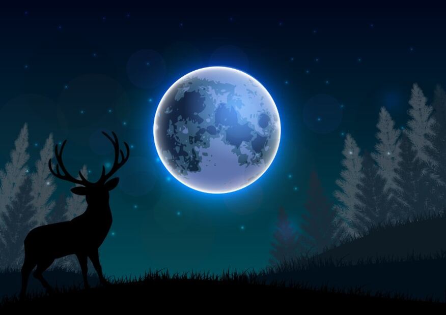 ¿Cuándo ver la Luna de Ciervo en julio 2022?
