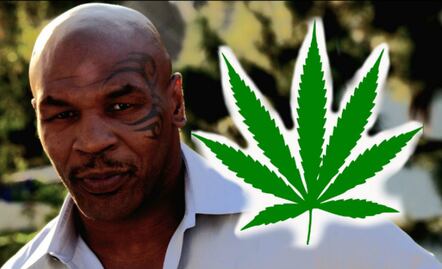 Mike Tyson cambia los guantes de box por parcelas de marihuana