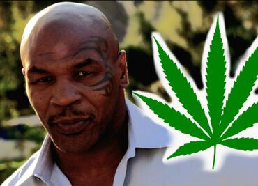 Mike Tyson cambia los guantes de box por parcelas de marihuana