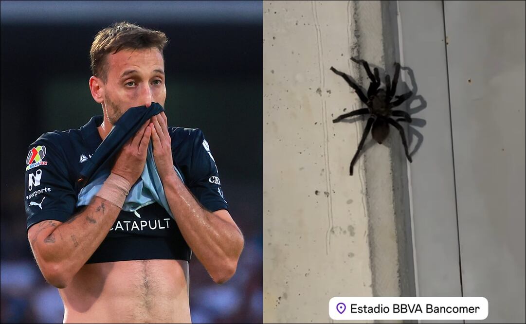 Esposa de estrella de Rayados casi se infarta con el 'bichito' que encontró en el Estadio BBVA. FOTOS: Imago7 / Especial