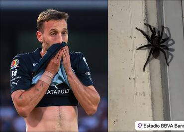 Esposa de estrella de Rayados casi se infarta con el 'bichito' que encontró en el Estadio BBVA