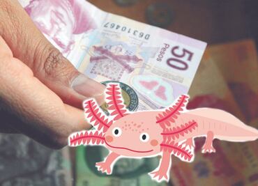 10 cualidades del ajolote, la nueva figura del billete de 50 pesos