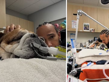 Lewis Hamilton informó que su perro Roscoe cayó en coma: "No sabemos si despertará"