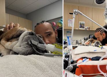 Lewis Hamilton informó que su perro Roscoe cayó en coma: "No sabemos si despertará"