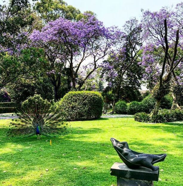 Más de 150… Aquí la lista de TODOS los Museos de la CDMX