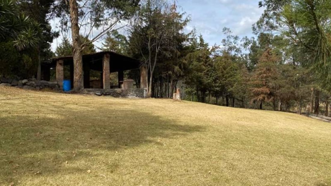 10 lugares cerca de la CDMX para armar un picnic perfecto 