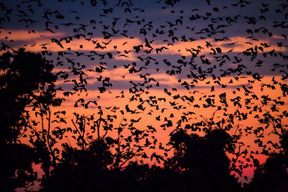 10 destinos malditos que NO te atreverías a visitar