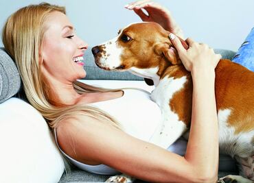 10 remedios naturales para tu perro que hay en casa y ni lo sabías