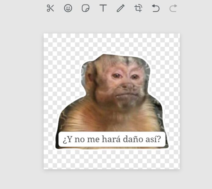 ¿Cómo hacer stickers desde WhatsApp Web? Aquí el paso a paso...