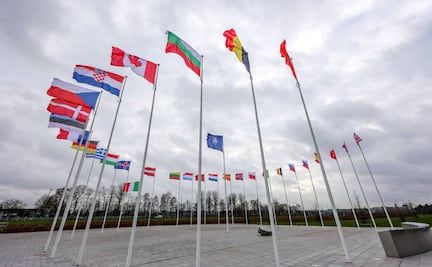 ¿Qué es la OTAN y cuántos países la conforman? 