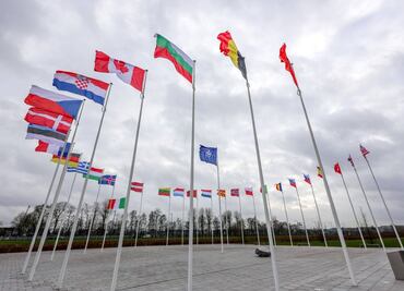 ¿Qué es la OTAN y cuántos países la conforman?