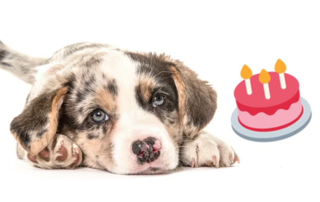 Foto: iStock y Emojipedia