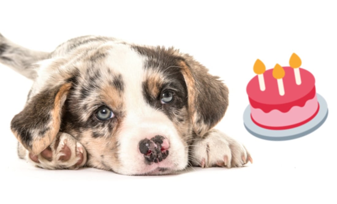 Foto: iStock y Emojipedia