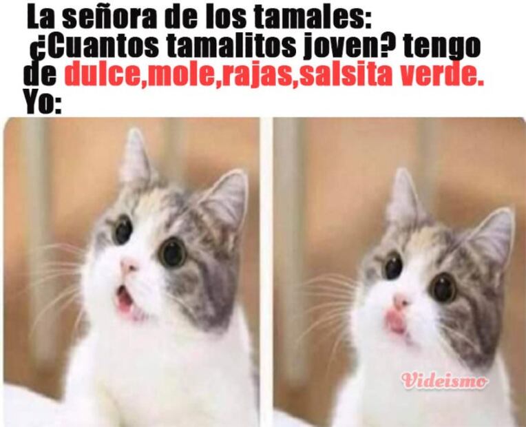 Los 10 mejores memes de los tamales del Día de la Candelaria