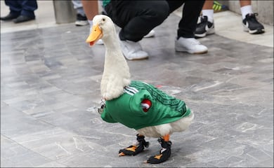 Pato Merlín apoyará al Tri desde las gradas del Estadio Ciudad de México, cuando reciba a Chequia