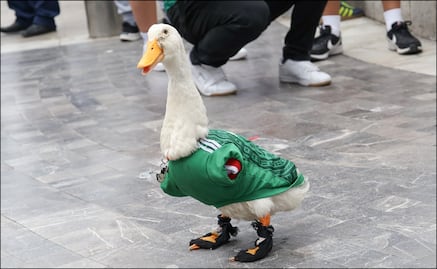 Pato Merlín apoyará al Tri desde las gradas del Estadio Ciudad de México, cuando reciba a Chequia