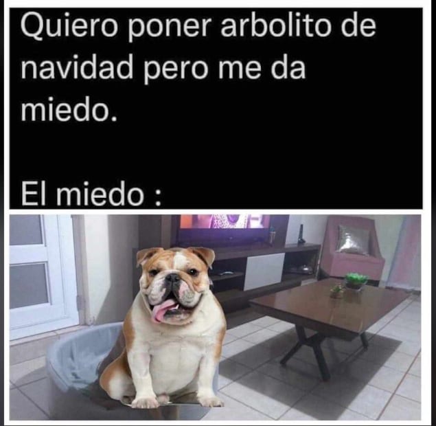 Más 10 memes que te harán sentir el verdadero espíritu navideño