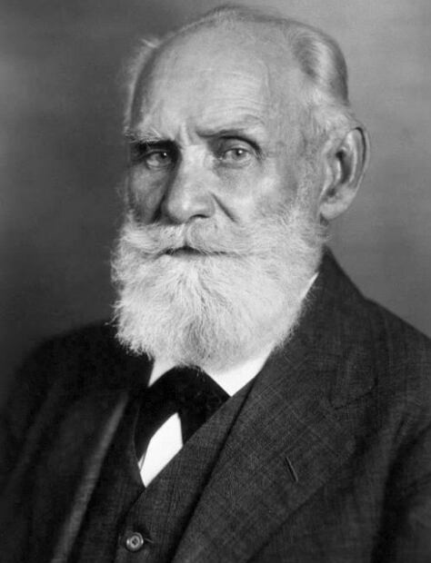 ¿De dónde viene la frase “como perro de Pávlov”?