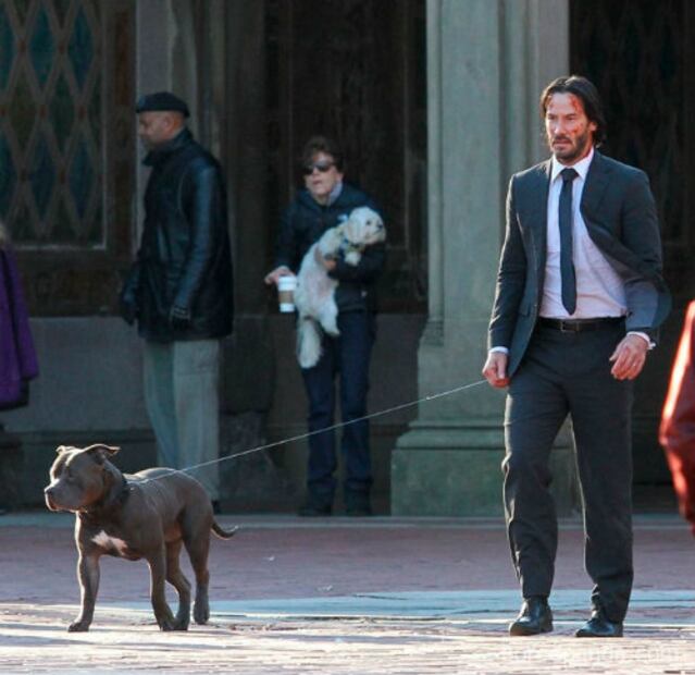 10 acciones de Keanu Reeves que nos hacen amarlo (aún más)