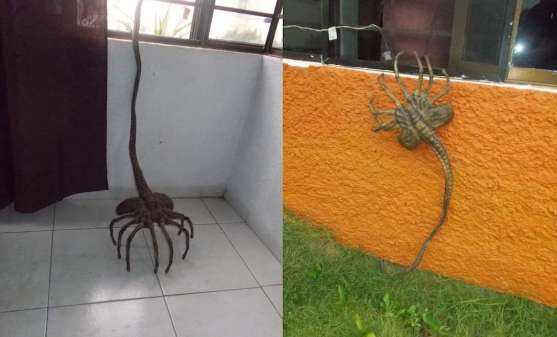 Foto: Redes Sociales