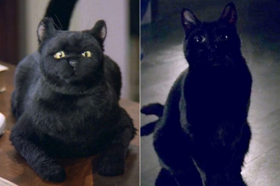 10 diferencias: “El mundo oculto de Sabrina” Vs. “Sabrina, la bruja adolescente”