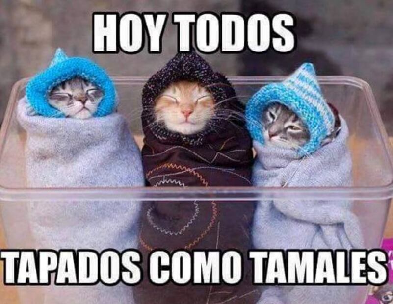 10 memes que nos representan en esta época de frío en México