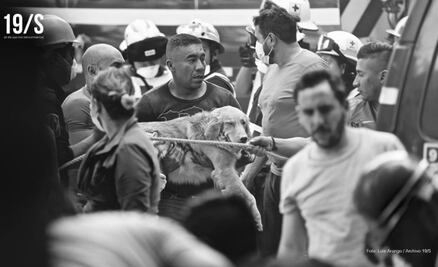 “19/S. El día que nos reencontramos”, un testimonio doloroso y necesario