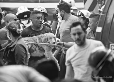 “19/S. El día que nos reencontramos”, un testimonio doloroso y necesario