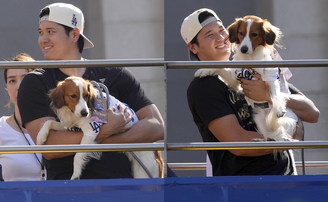 Shohei Ohtani y su famoso perro, Decoy - Fotos: AP