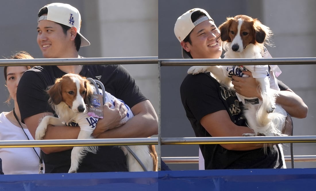 Shohei Ohtani y su famoso perro, Decoy - Fotos: AP
