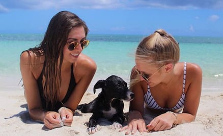 La paradisíaca “isla de los perros” es el mejor lugar para tus vacaciones